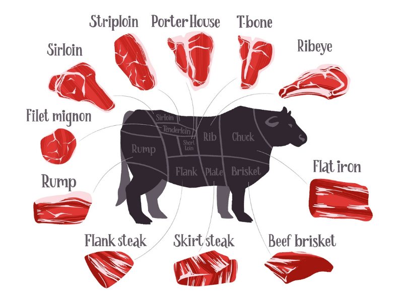 Beef Cuts Diagram